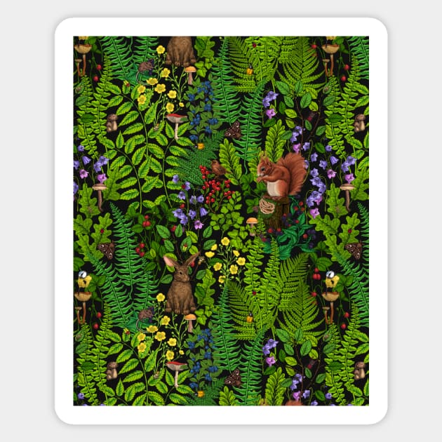 Forest life- squirrel, bird and rabbit Sticker by katerinamk